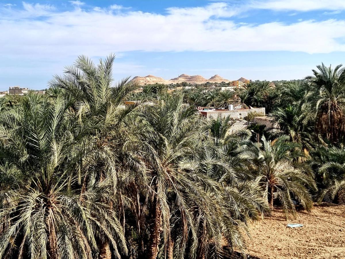 Quiet Home Siwa Oasis المظهر الخارجي الصورة